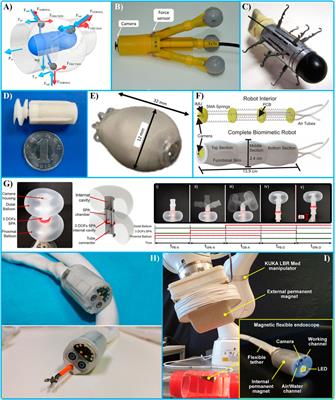 Endorobots for Colonoscopy: Design Challenges and Available Technologies